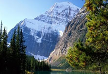 九游体育-Scout官方宣布晋级下一阶段新规，日本队引发争议！赛场气氛高涨(宣布决定还是宣读决定)