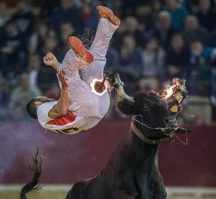  蒂姆重返赛场，领先优势明显首场状态出色，公牛观众沸腾！再创辉煌时刻